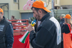 NZF_1379